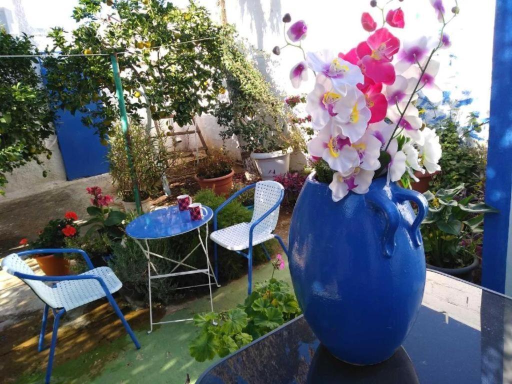 4 Seasons Suites Paradise Near Athens Airport Markopoulo Mesogaias Екстер'єр фото