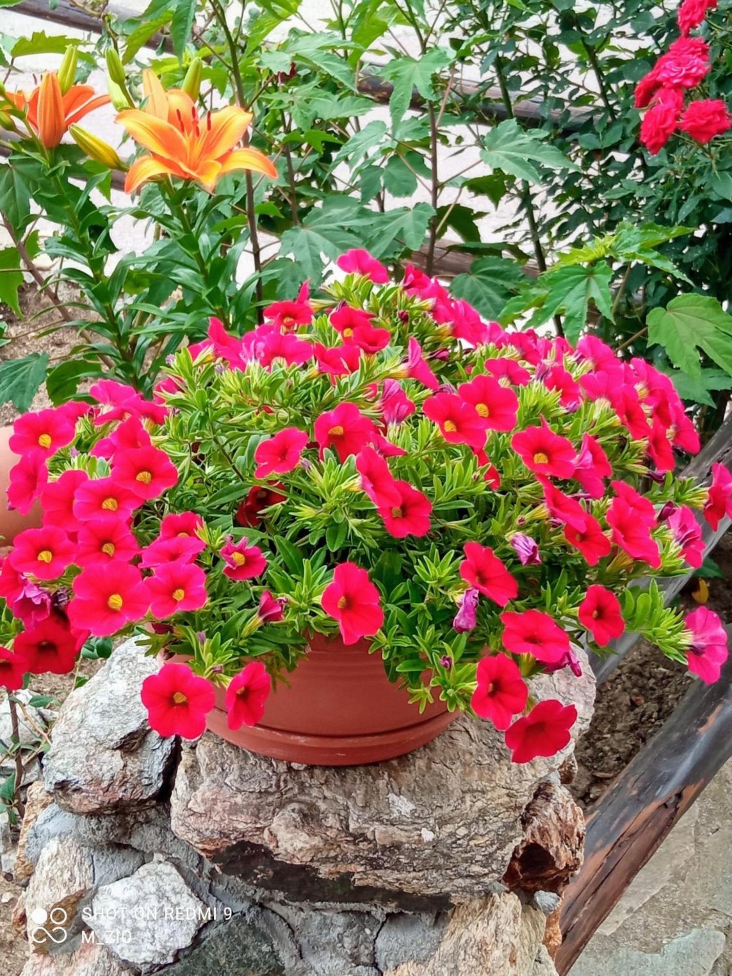 4 Seasons Suites Paradise Near Athens Airport Markopoulo Mesogaias Екстер'єр фото